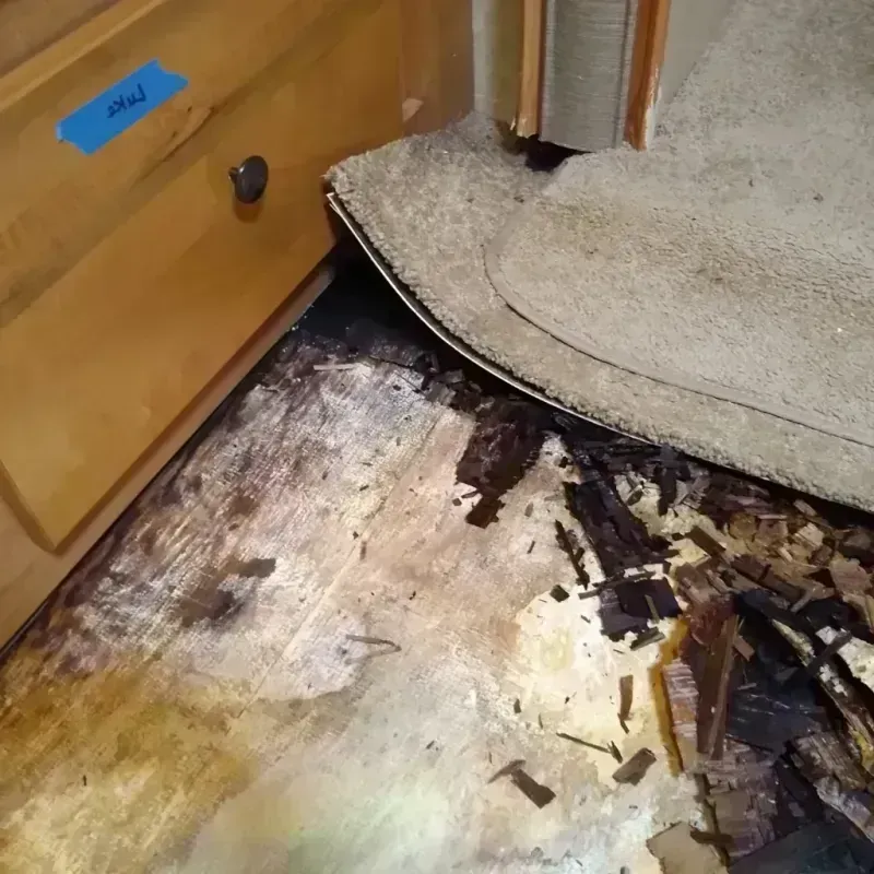 Best Wood Floor Water Damage Service in Howard County, IN